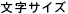 文字サイズ