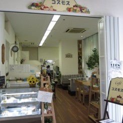 コスモス