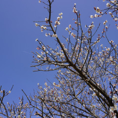 DSC05745