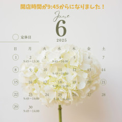 カラフル　シンプル　花　和風　北欧　2025 カレンダー　インスタグラムの投稿