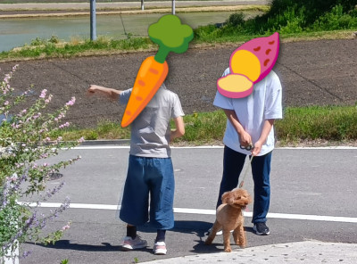 260530135951257~2