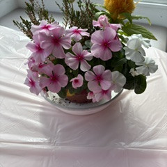 image0